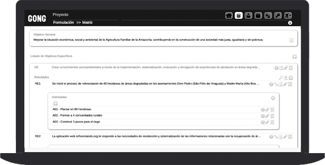 Pantallazo de GONG con la elaboración de la matriz del proyecto